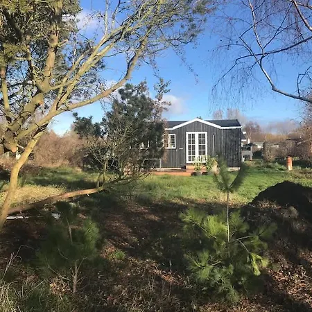 Small Cozy House By The