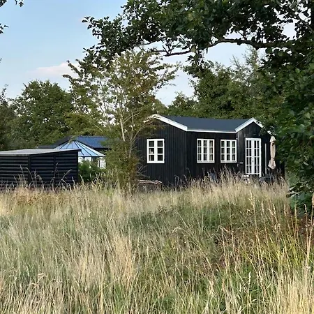 Small Cozy House By The