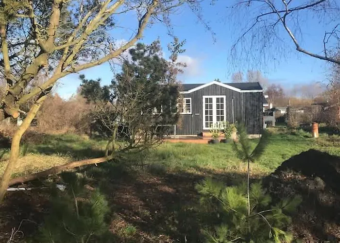 Small Cozy House By The